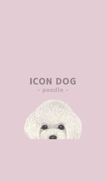 [LINE着せ替え] ICON DOG - トイプードル - PASTEL PK/06の画像1