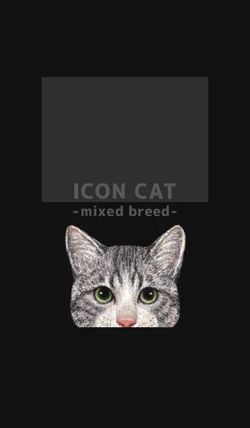[LINE着せ替え] ICON CAT - ミックス - BLACK/14の画像1