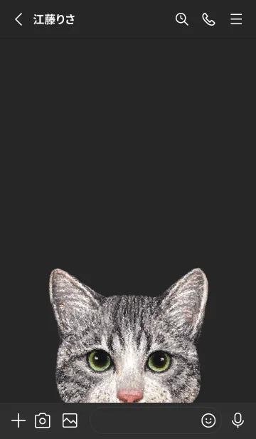 [LINE着せ替え] ICON CAT - ミックス - BLACK/14の画像3