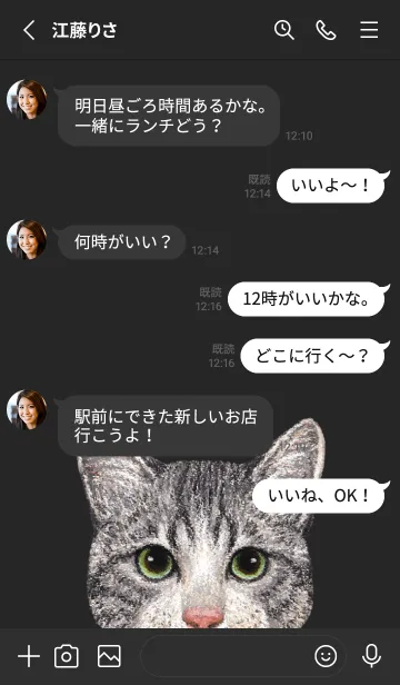 [LINE着せ替え] ICON CAT - ミックス - BLACK/14の画像4