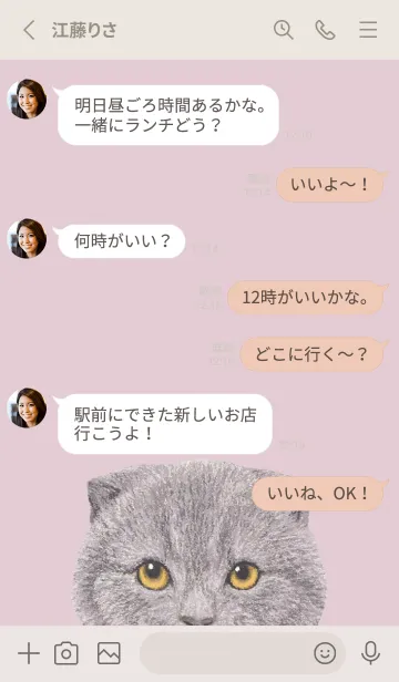 [LINE着せ替え] ICON CAT - スコティッシュ - PASTEL PK/03の画像4