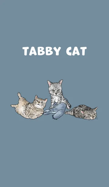 [LINE着せ替え] tabbycat5 / denim .jpの画像1