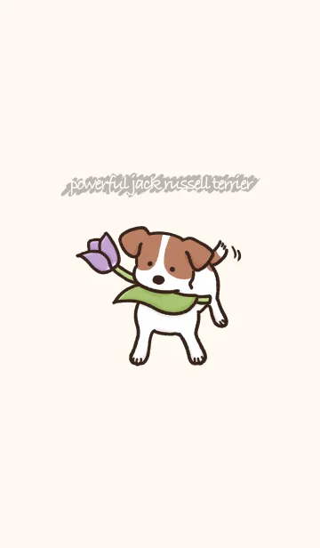 [LINE着せ替え] powerful jack russell terrierの画像1