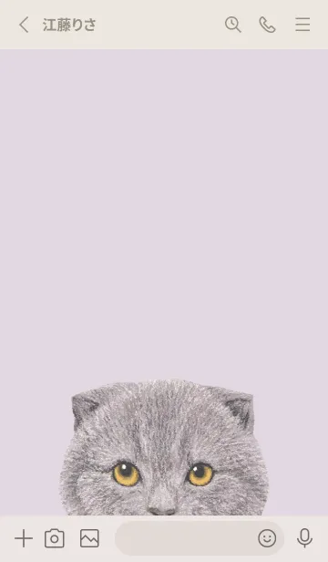 [LINE着せ替え] ICON CAT - スコティッシュ - PASTEL PL/03の画像3