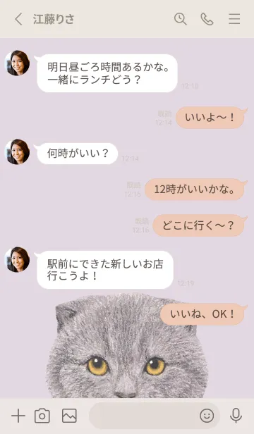 [LINE着せ替え] ICON CAT - スコティッシュ - PASTEL PL/03の画像4