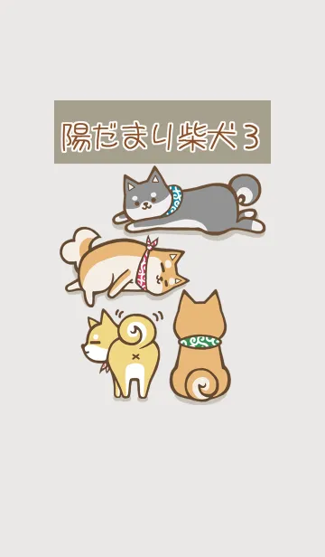 [LINE着せ替え] 陽だまり柴犬 3の画像1