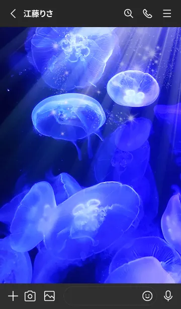 [LINE着せ替え] 癒しのクラゲ Blue Light Jellyfishの画像3