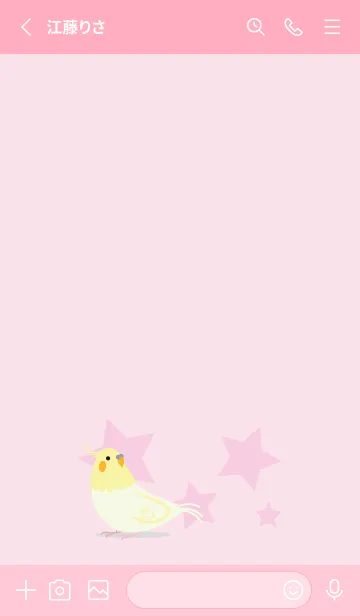 [LINE着せ替え] オカメインコ ピンク＆ピンクの画像3