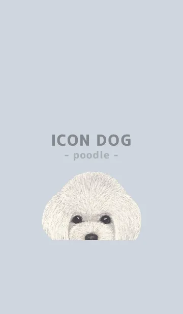 [LINE着せ替え] ICON DOG - トイプードル - PASTEL BL/06の画像1