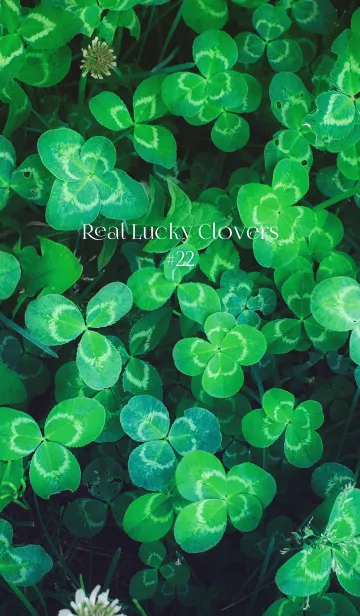 [LINE着せ替え] 本物ラッキークローバーズ #22の画像1