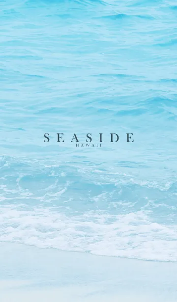 [LINE着せ替え] SEASIDE-HAWAII 31の画像1