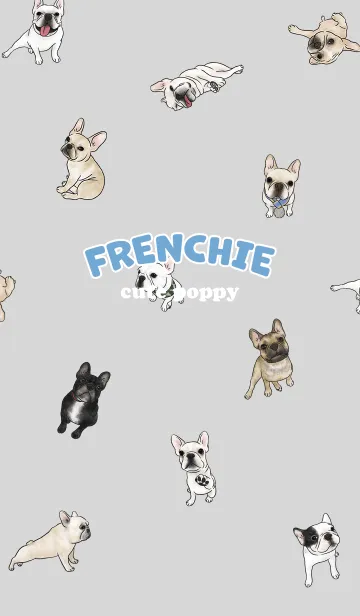 [LINE着せ替え] frenchie7 / light grey .jpの画像1