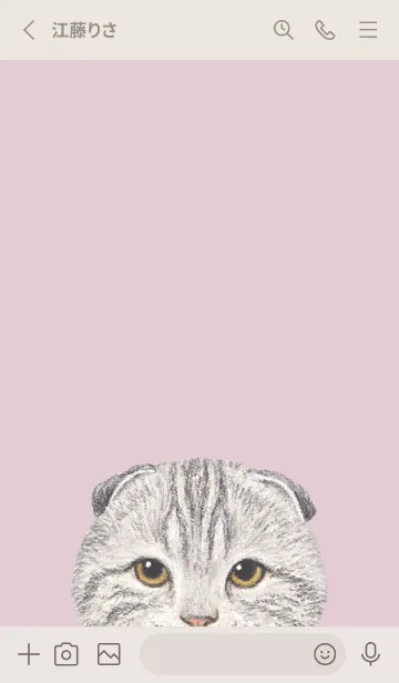 [LINE着せ替え] ICON CAT - スコティッシュ - PASTEL PK/04の画像3