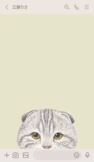 [LINE着せ替え] ICON CAT - スコティッシュ - PASTEL YE/04の画像3