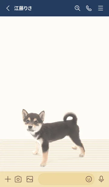 [LINE着せ替え] 黒柴です。の画像3