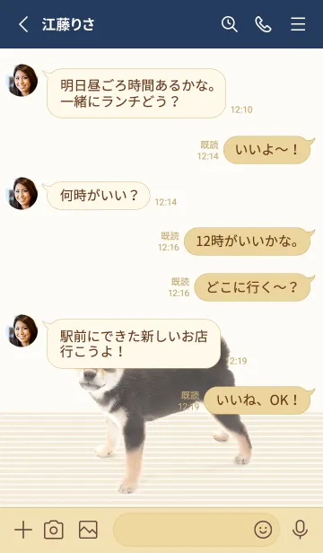 [LINE着せ替え] 黒柴です。の画像4