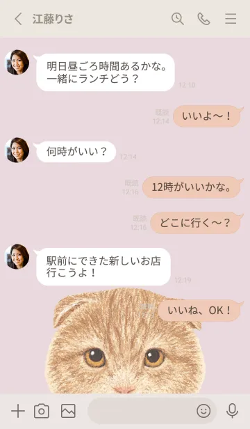 [LINE着せ替え] ICON CAT - スコティッシュ - PK/01[rev.]の画像4