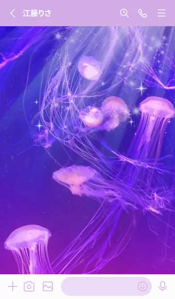 [LINE着せ替え] 癒しのクラゲ Beautiful Jellyfishの画像3
