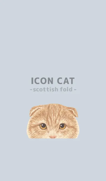 [LINE着せ替え] ICON CAT - スコティッシュ - BL/01[rev.]の画像1