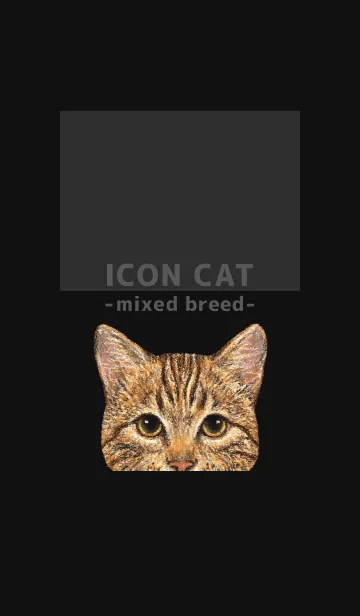 [LINE着せ替え] ICON CAT - ミックス - BLACK/15の画像1