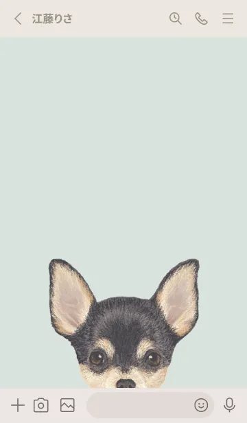 [LINE着せ替え] ICON DOG - チワワ - PASTEL GR/01の画像3