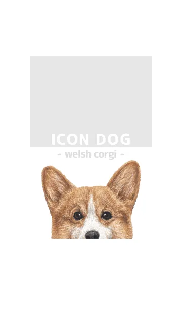 [LINE着せ替え] ICON DOG - コーギー 01 - GRAY/01の画像1