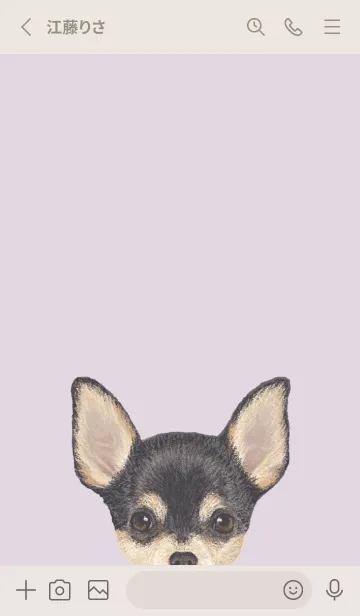 [LINE着せ替え] ICON DOG - チワワ - PASTEL PL/01の画像3