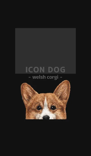 [LINE着せ替え] ICON DOG - コーギー 01 - BLACK/01の画像1