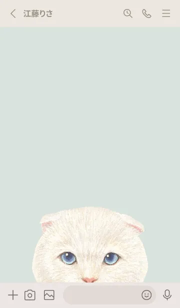 [LINE着せ替え] ICON CAT - スコティッシュ - GR/02[rev.]の画像3