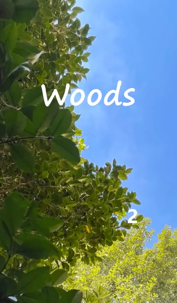 [LINE着せ替え] Woods2 木陰の画像1