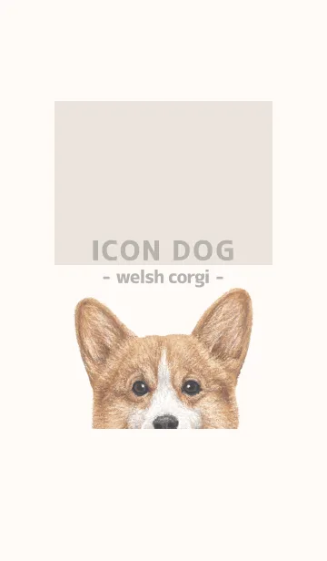 [LINE着せ替え] ICON DOG - コーギー 01 - BEIGE/01の画像1