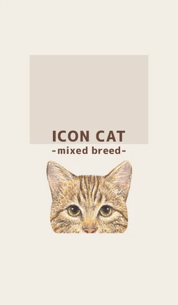 [LINE着せ替え] ICON CAT - ミックス - BROWN/15の画像1