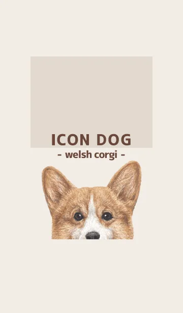 [LINE着せ替え] ICON DOG - コーギー 01 - BROWN/01の画像1