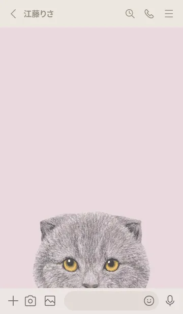 [LINE着せ替え] ICON CAT - スコティッシュ - PK/03[rev.]の画像2