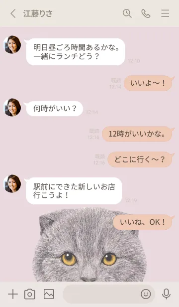 [LINE着せ替え] ICON CAT - スコティッシュ - PK/03[rev.]の画像3