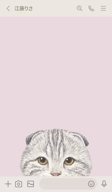 [LINE着せ替え] ICON CAT - スコティッシュ - PK/04[rev.]の画像2