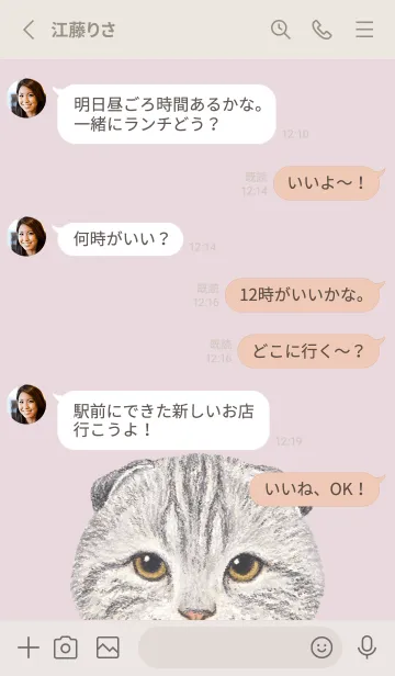 [LINE着せ替え] ICON CAT - スコティッシュ - PK/04[rev.]の画像3