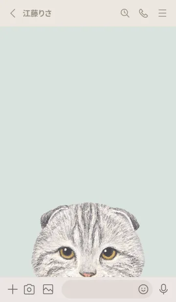 [LINE着せ替え] ICON CAT - スコティッシュ - PASTEL GR/04の画像2