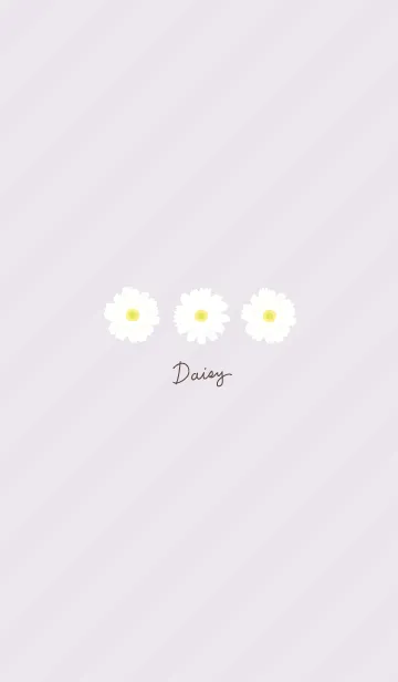 [LINE着せ替え] シンプル マーガレット19の画像1