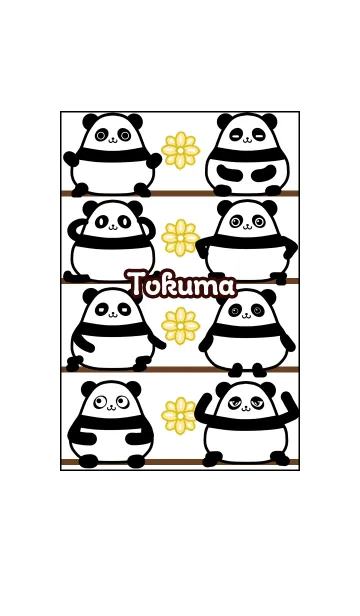 [LINE着せ替え] とくま★まんまるカワイイ♥パンダの画像1