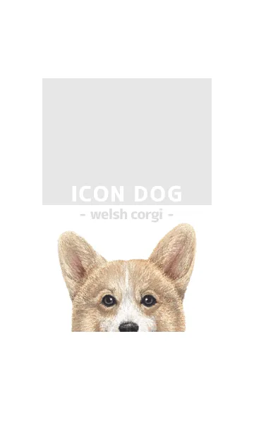 [LINE着せ替え] ICON DOG - コーギー 01 - GRAY/02の画像1