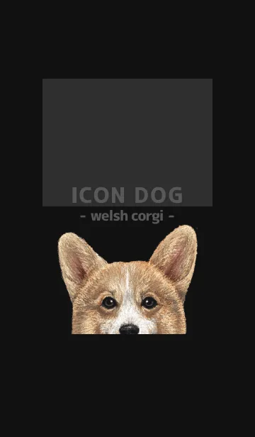 [LINE着せ替え] ICON DOG - コーギー 01 - BLACK/02の画像1