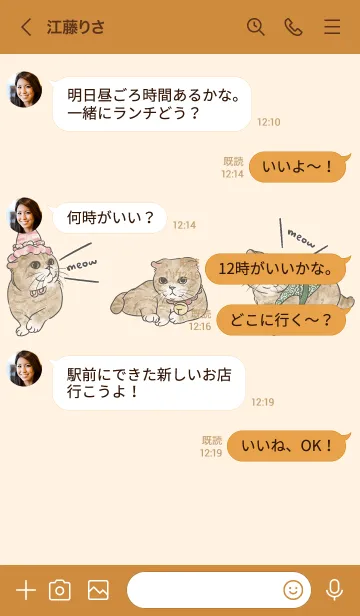 [LINE着せ替え] gingercat8 / buff .jpの画像3