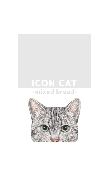 [LINE着せ替え] ICON CAT - ミックス - GRAY/16の画像1