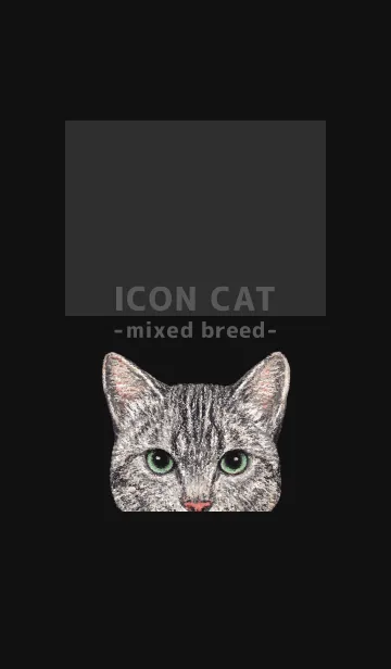 [LINE着せ替え] ICON CAT - ミックス - BLACK/16の画像1