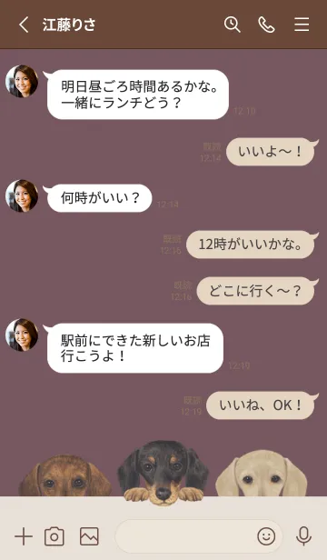 [LINE着せ替え] ダックスフンド - ダスティローズの画像3
