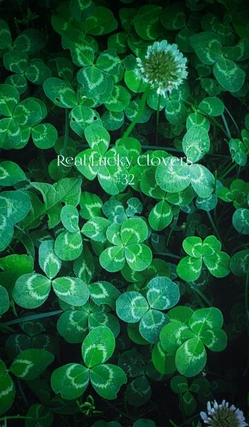 [LINE着せ替え] 本物ラッキークローバーズ #32の画像1
