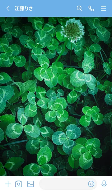 [LINE着せ替え] 本物ラッキークローバーズ #32の画像2