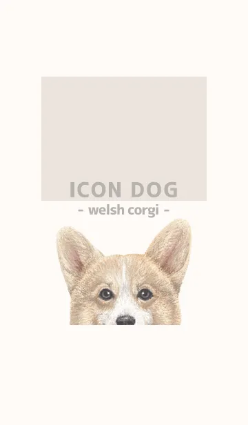 [LINE着せ替え] ICON DOG - コーギー 01 - BEIGE/02の画像1