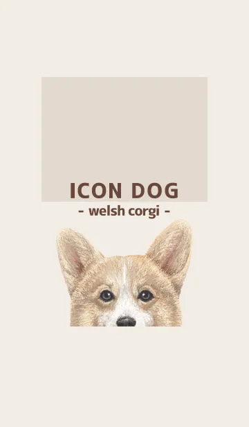 [LINE着せ替え] ICON DOG - コーギー 01 - BROWN/02の画像1